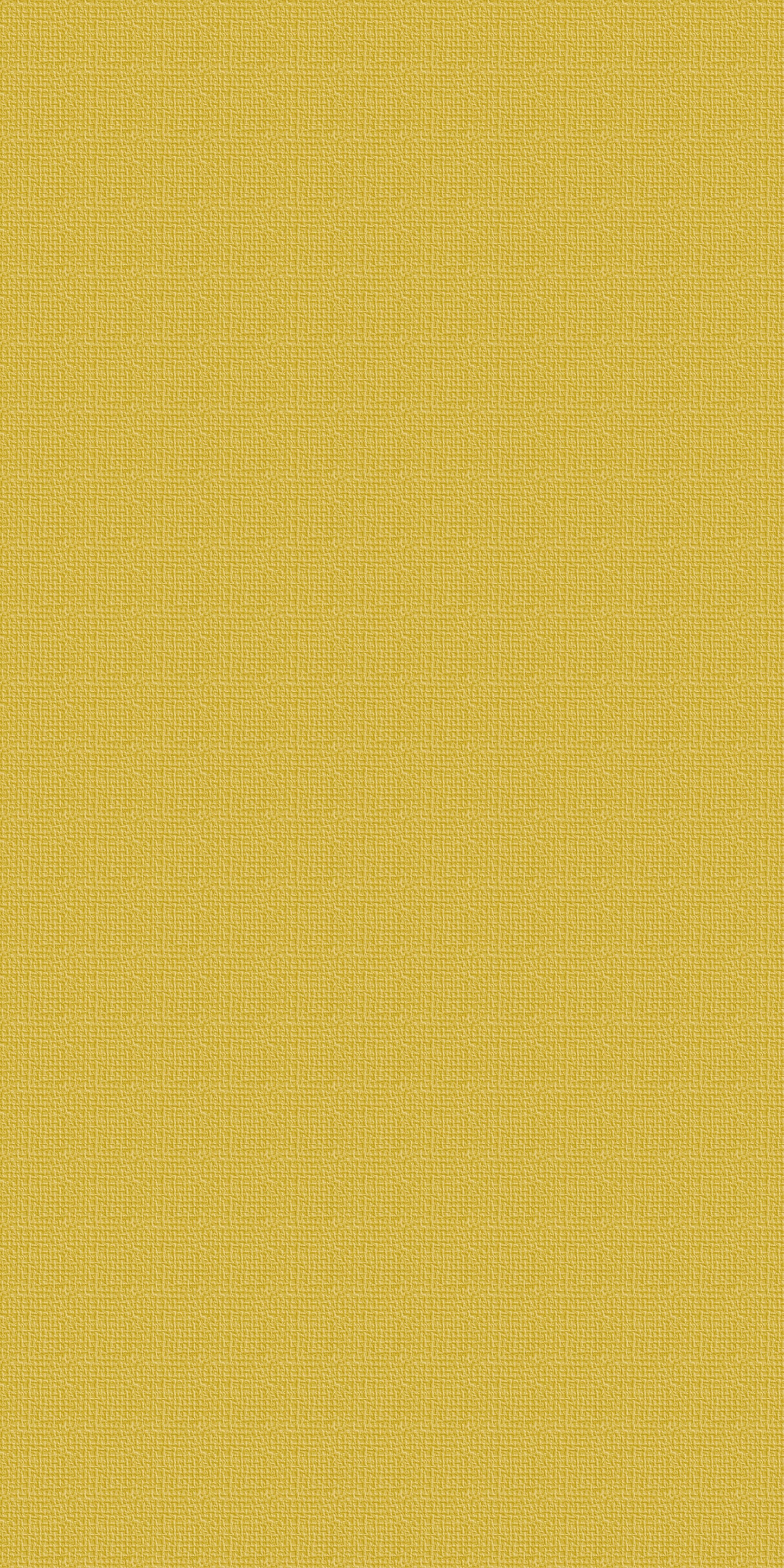 Color 10 - Microlamina Panels