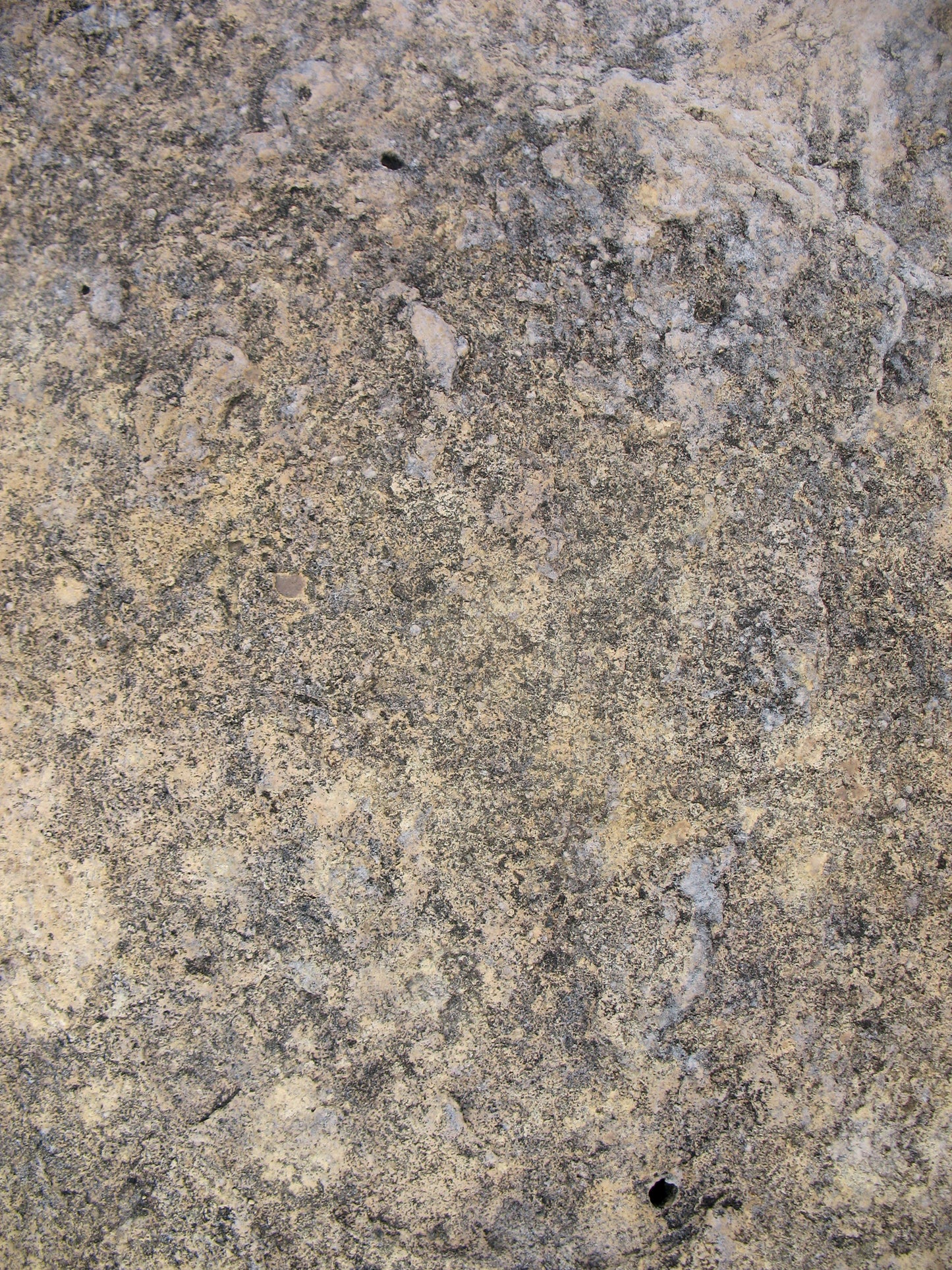 M11 Abstract - Microlamina Panels