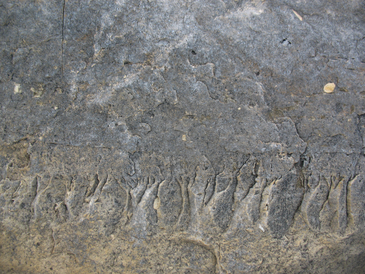 M12 Abstract - Microlamina Panels