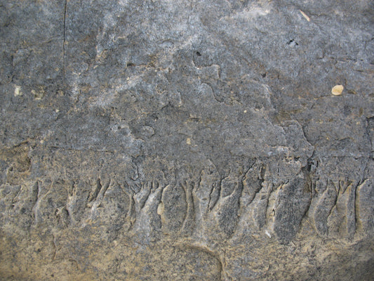 M12 Abstract - Microlamina Panels