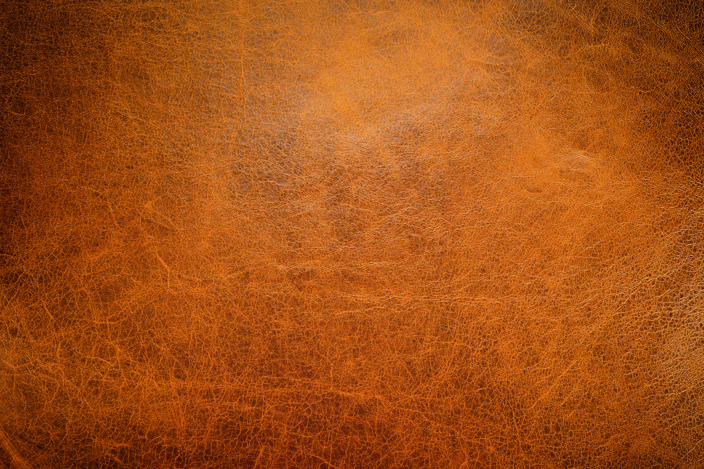 M33 Abstract - Microlamina Panels