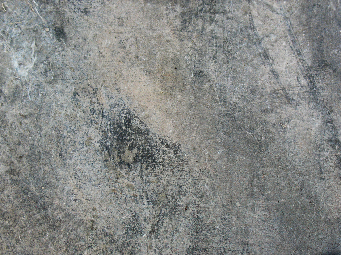 M4 Abstract - Microlamina Panels