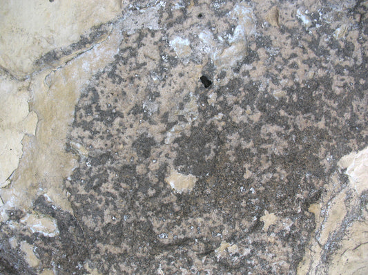 M9 Abstract - Microlamina Panels