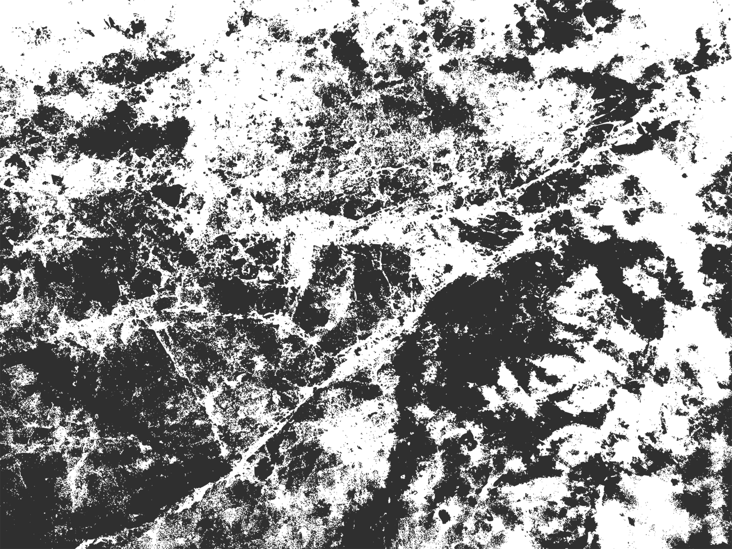 MS 1 - Microlamina Panels