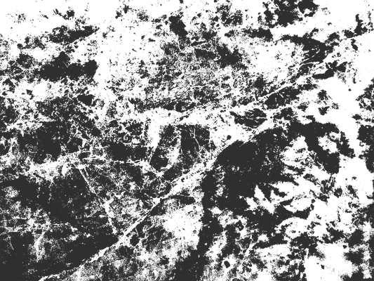 MS 1 - Microlamina Panels