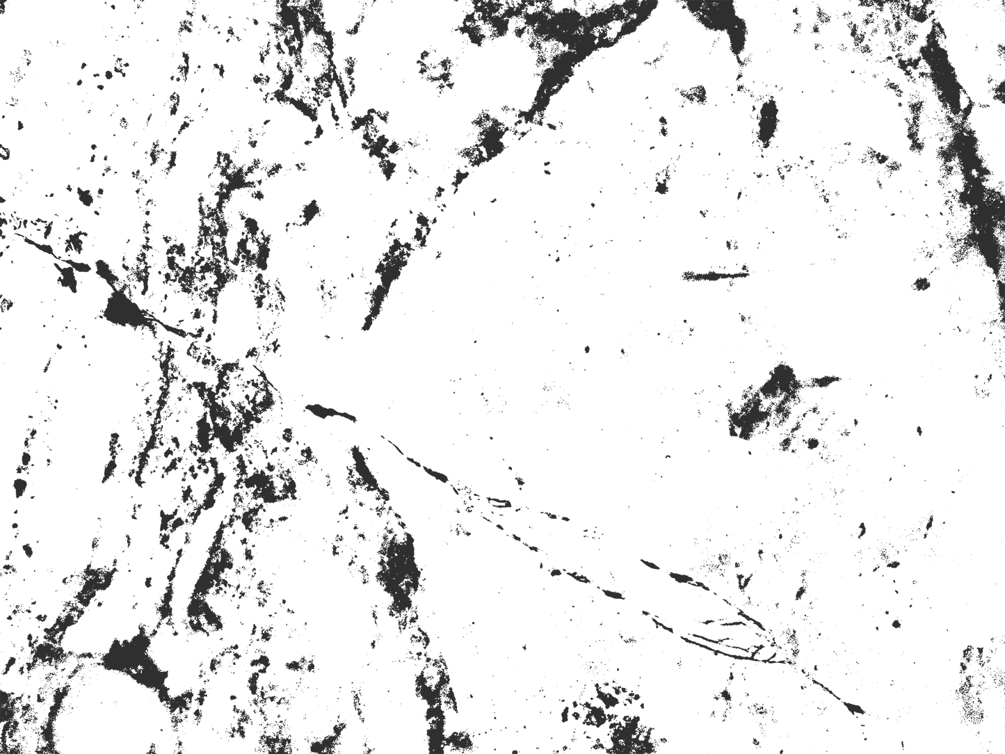 MS 2 - Microlamina Panels