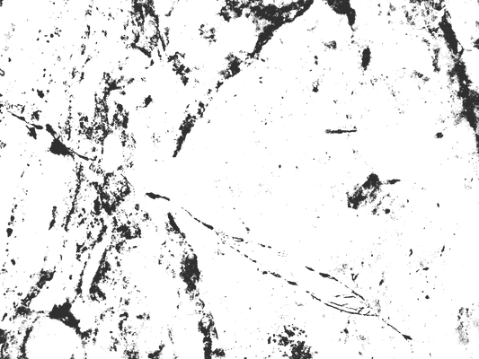 MS 2 - Microlamina Panels