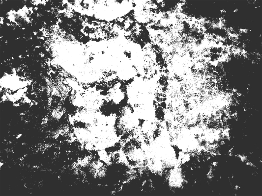 MS 3 - Microlamina Panels
