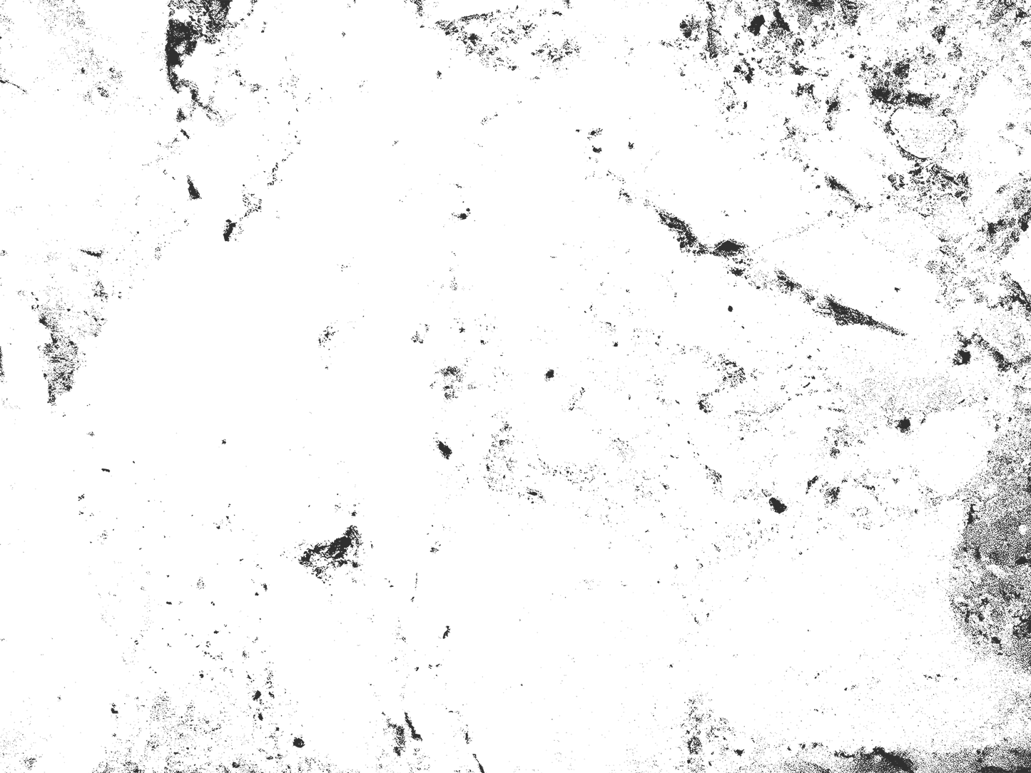 MS 4 - Microlamina Panels