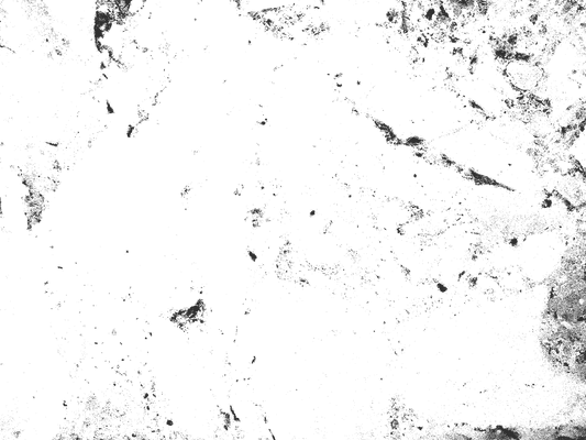 MS 4 - Microlamina Panels