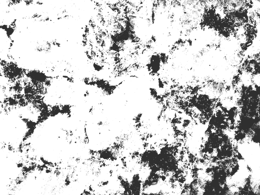 MS 5 - Microlamina Panels