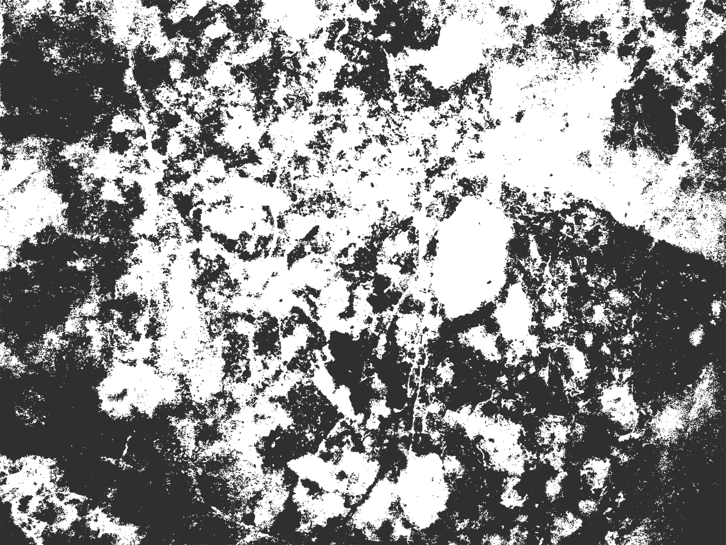 MS 6 - Microlamina Panels