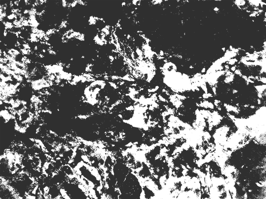 MS 9 - Microlamina Panels