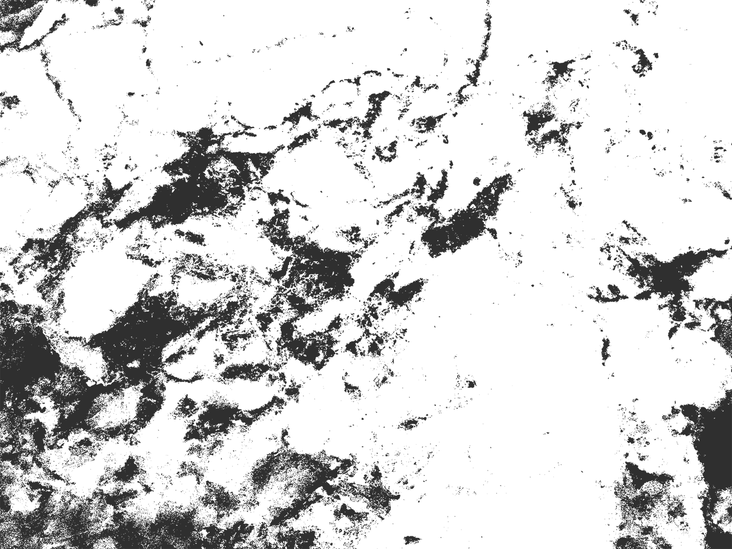 MS 10 - Microlamina Panels