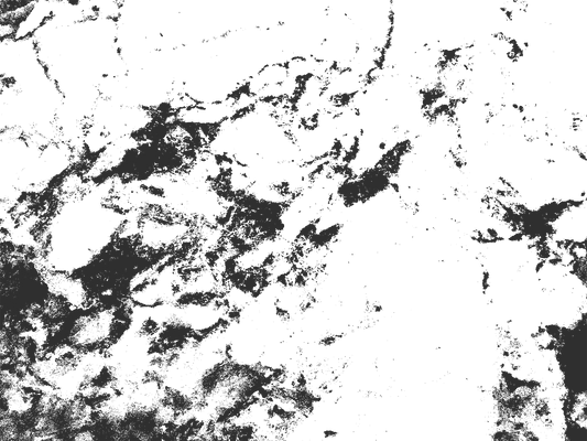 MS 10 - Microlamina Panels