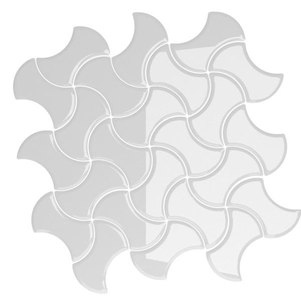 Forma 31
