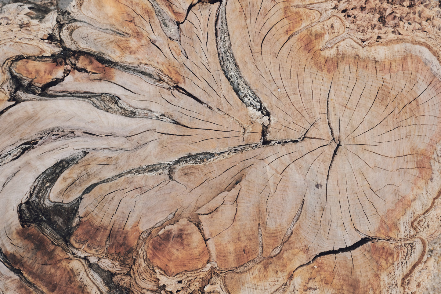 MW 1 - Microlamina Panels