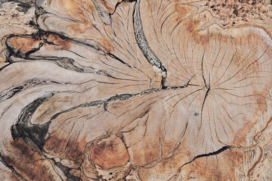 MW 1 - Microlamina Panels