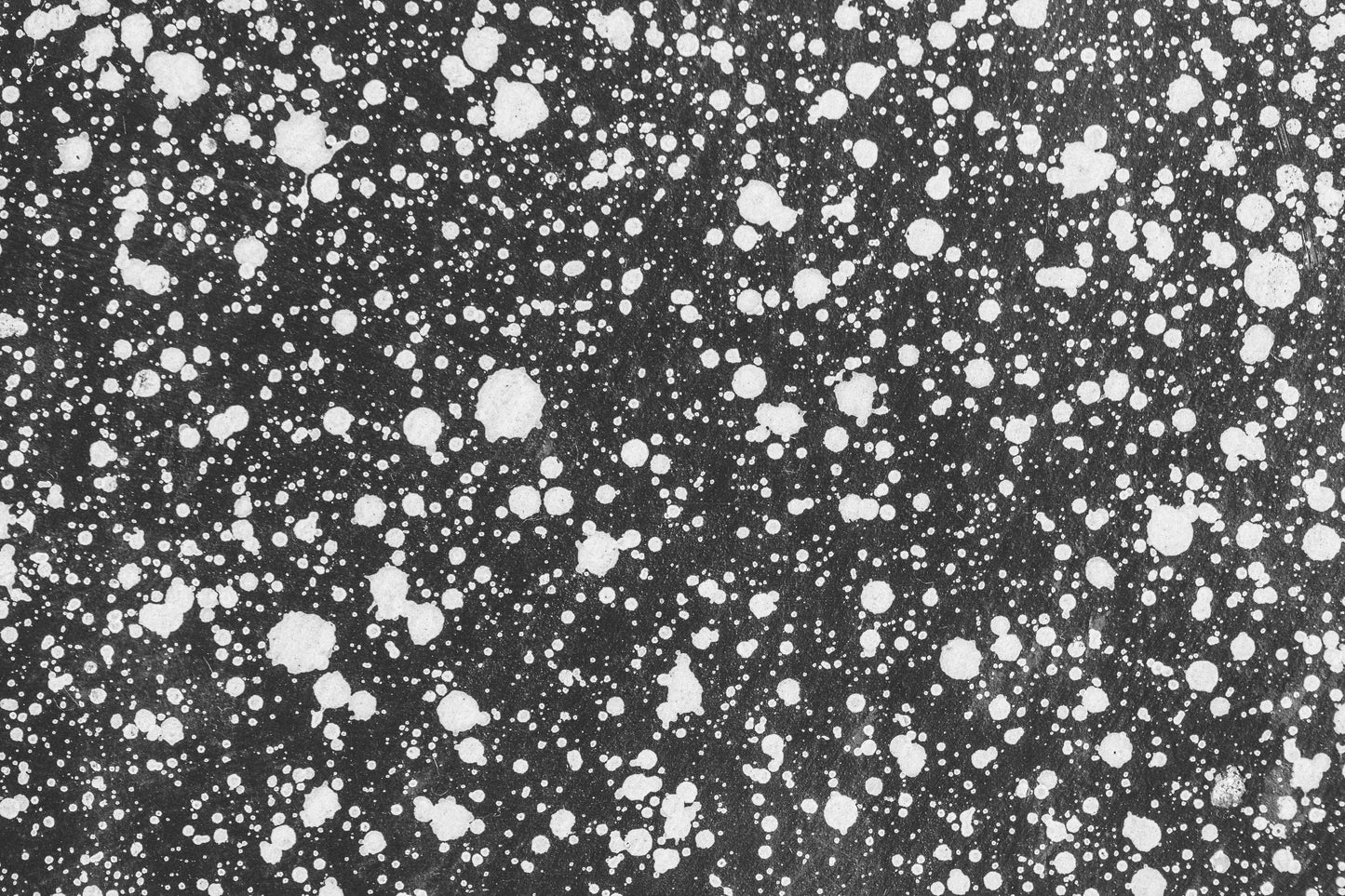 MBW 2 - Microlamina Panels