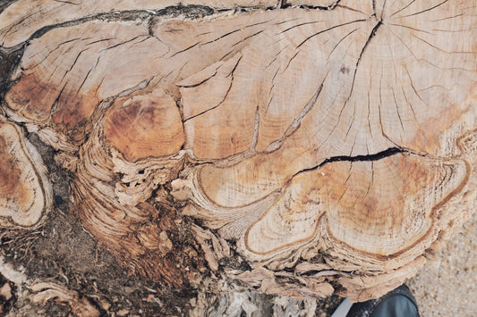 MW 3 - Microlamina Panels