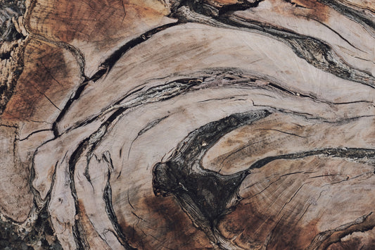 MW 4 - Microlamina Panels