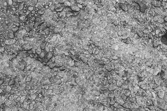 MBW 6 - Microlamina Panels