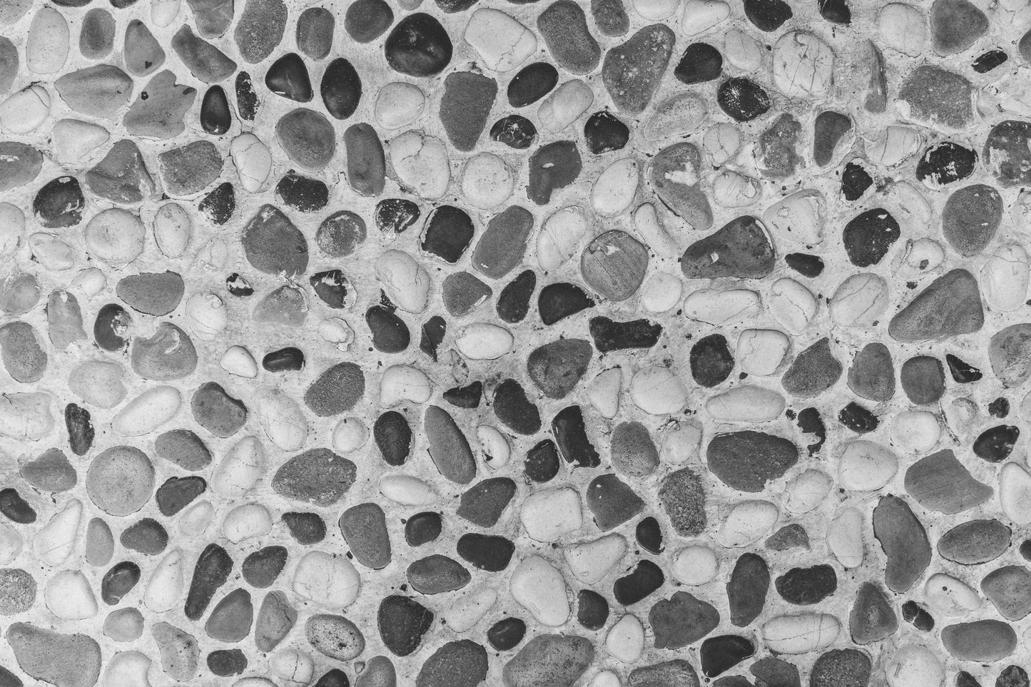 MBW 8 - Microlamina Panels