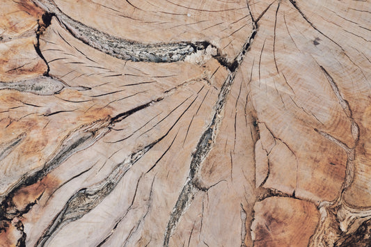 MW 7 - Microlamina Panels