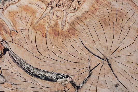 MW 8 - Microlamina Panels