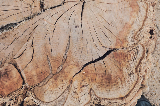 MW 9 - Microlamina Panels