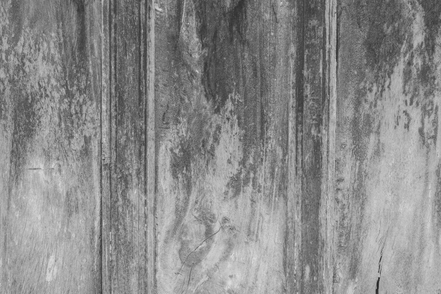 MBW 11 - Microlamina Panels