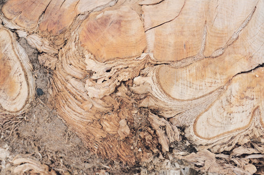 MW 10 - Microlamina Panels