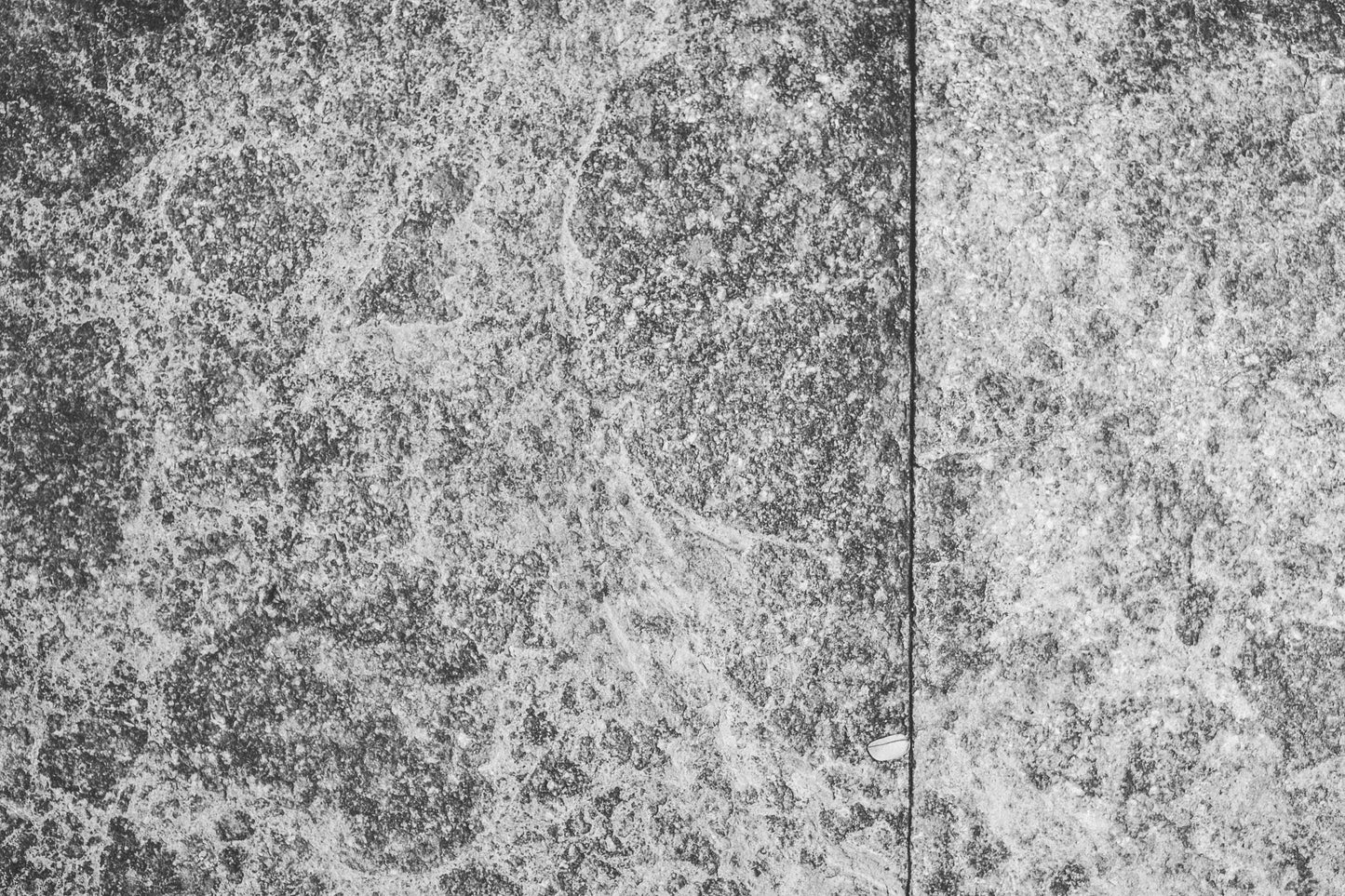 MBW 12 - Microlamina Panels