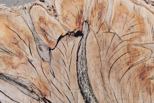 MW 11 - Microlamina Panels