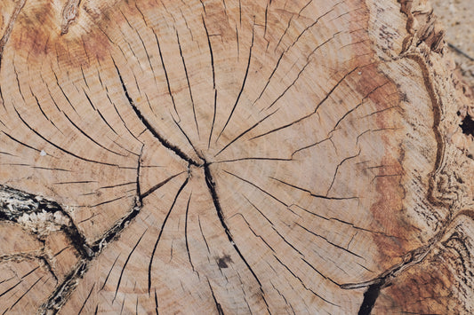 MW 13 - Microlamina Panels