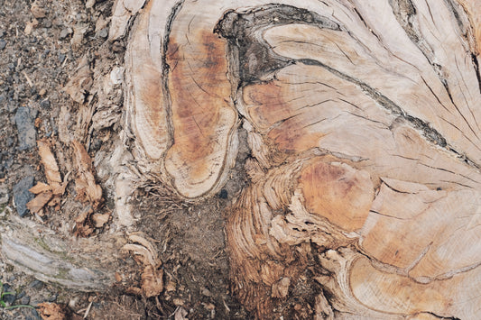 MW 14 - Microlamina Panels