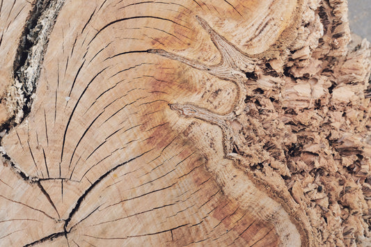 MW 17 - Microlamina Panels