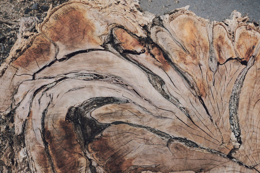 MW 18 - Microlamina Panels