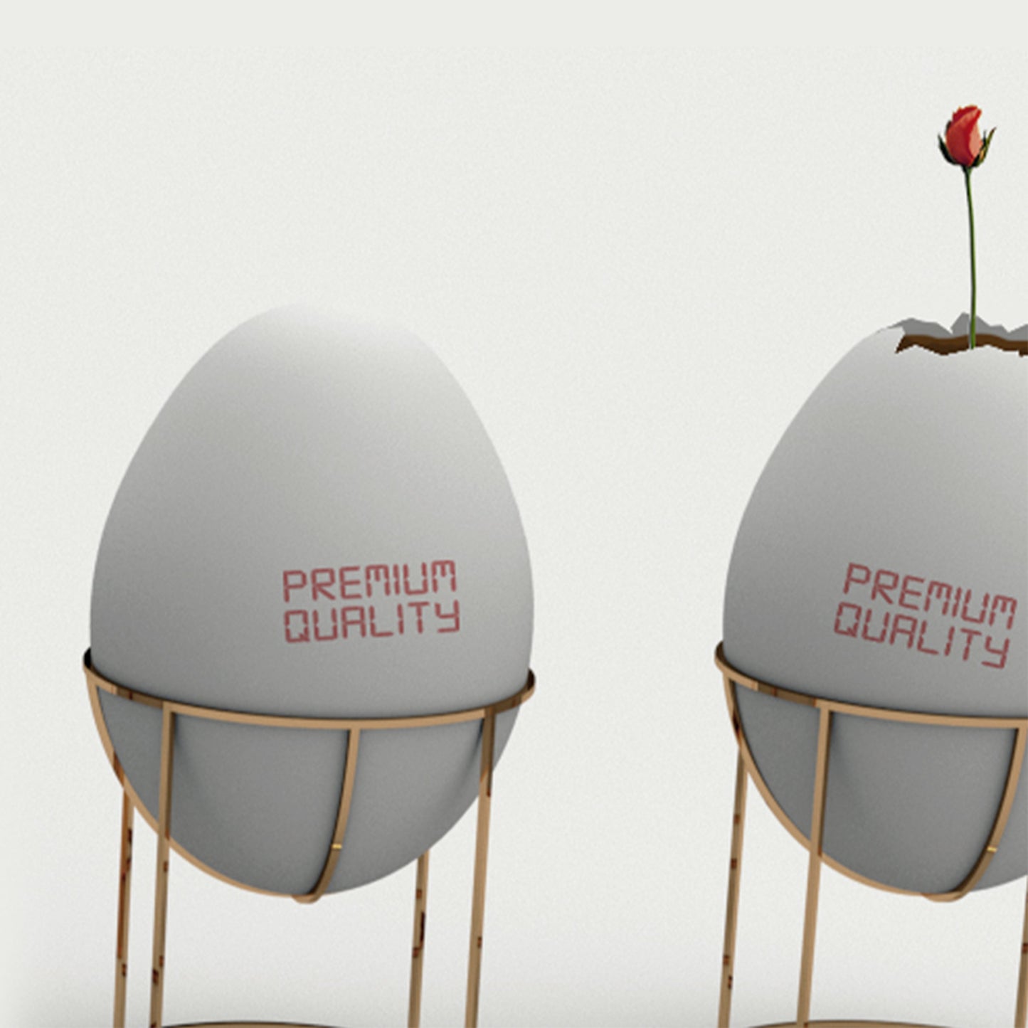 Uova di gallina allevate a terra