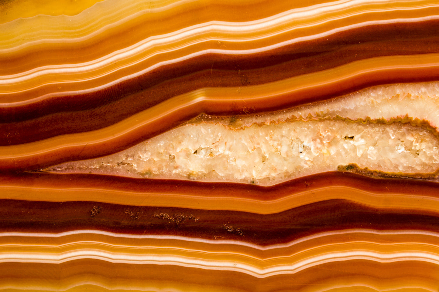 ML 1 - Microlamina Panels