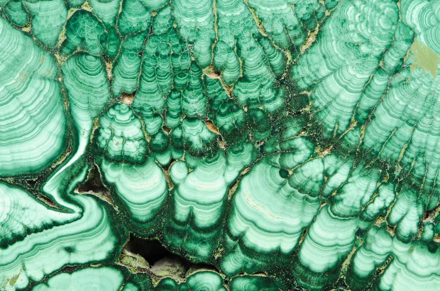 ML 2 - Microlamina Panels