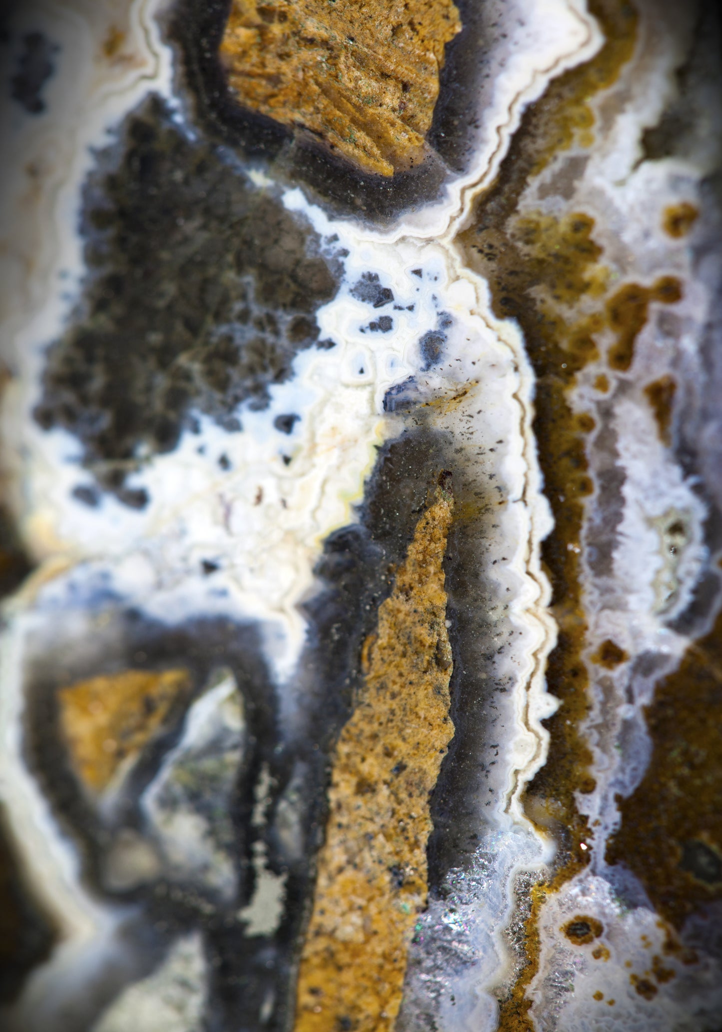 ML 4 - Microlamina Panels