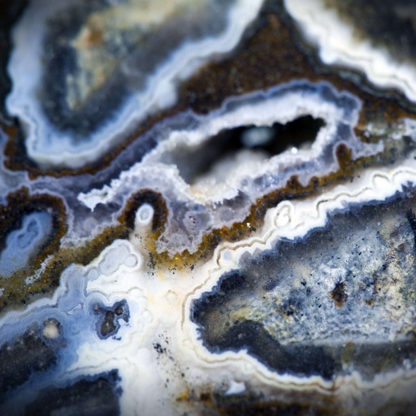 ML 5 - Microlamina Panels