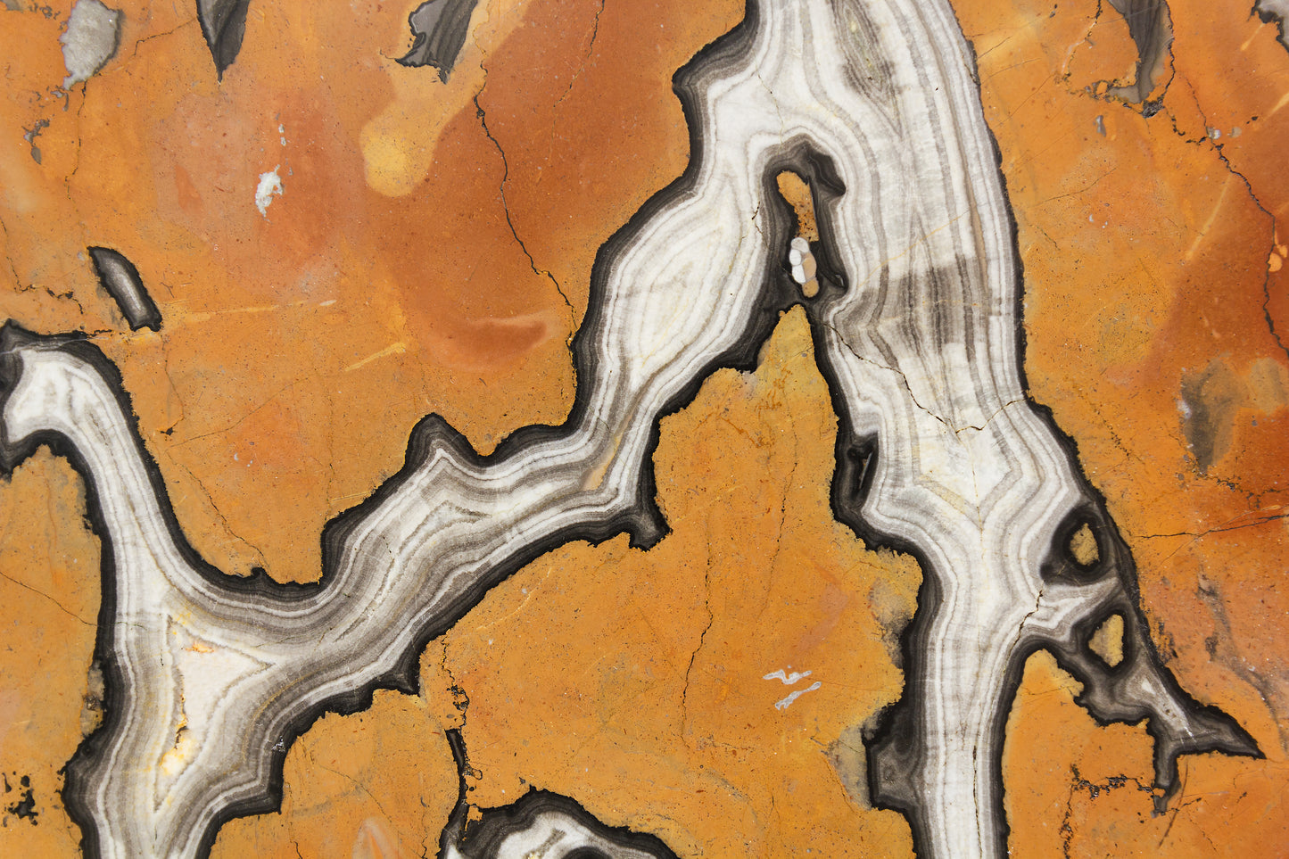 ML 6 - Microlamina Panels