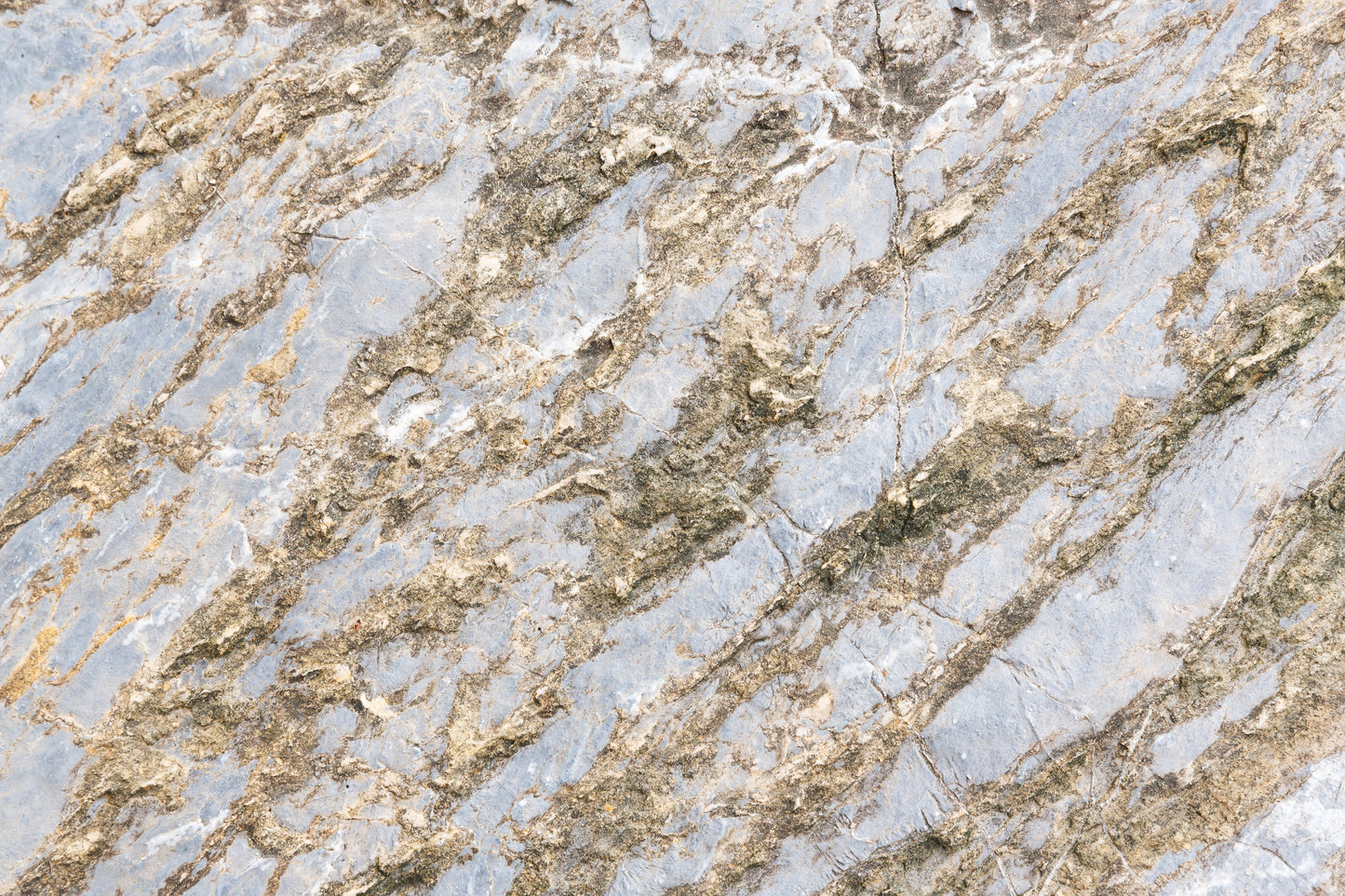 ML 10 - Microlamina Panels