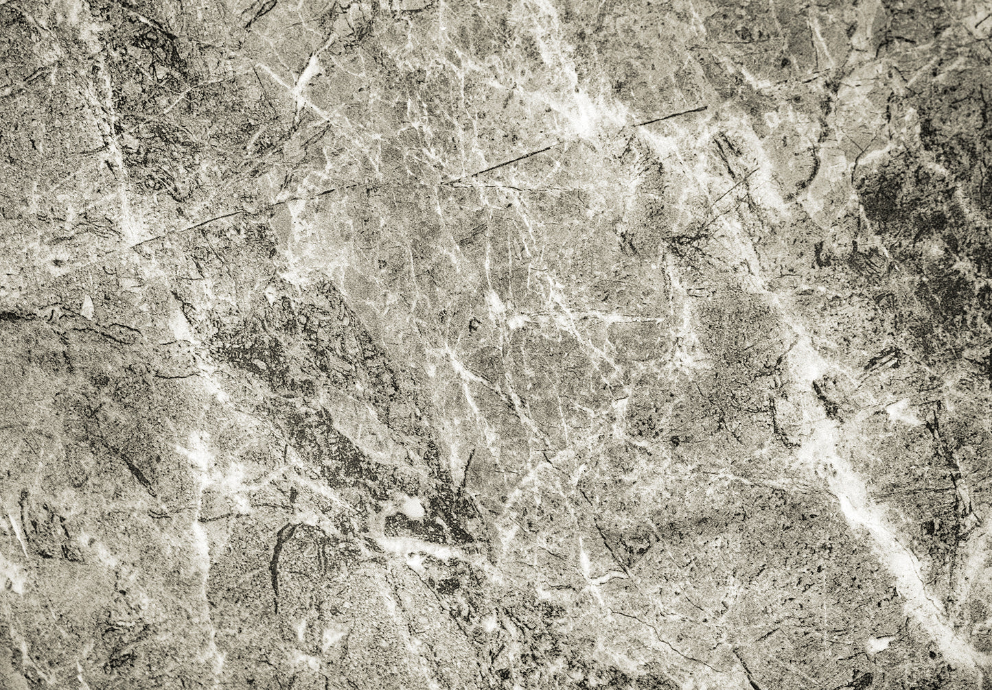 M1 - Microlamina Panels