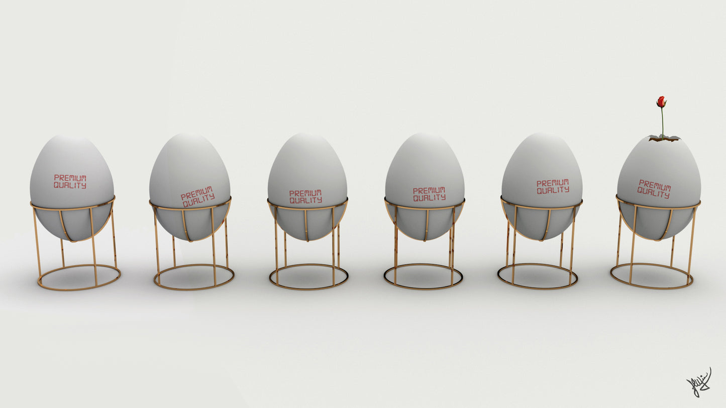 Uova di gallina allevate a terra