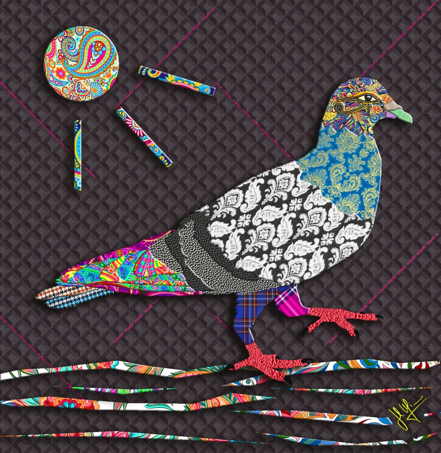 Zoohemien Pigeon