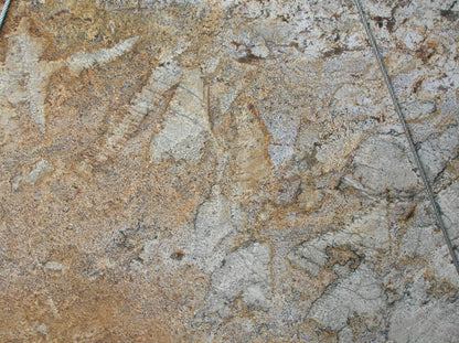 ML 35 - Microlamina Panels