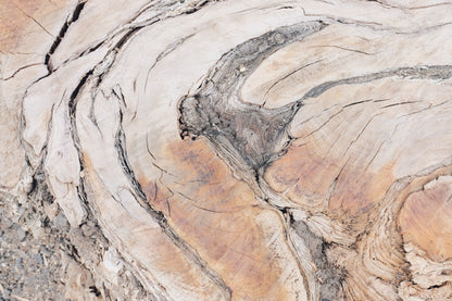 MW 5 - Microlamina Panels